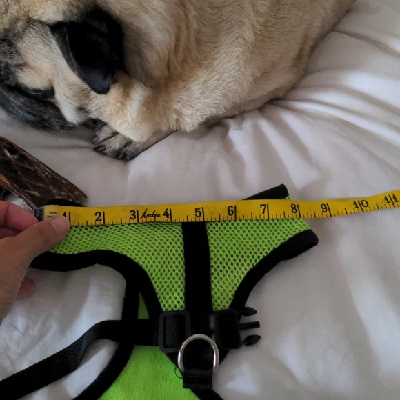 NWOT Neon green harness and leash - Picture 5 of 8